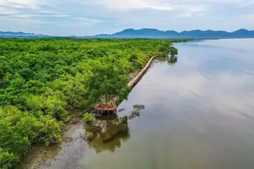 Mangroves and coastline at Ou Krasar community