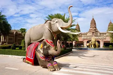 Phnom Penh Safari