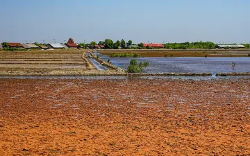 Kep Salt Fields