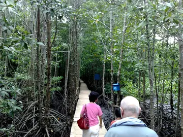 Peam Krasaop Wildlife Sanctuary