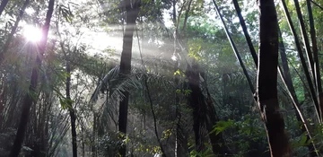Keo Seima Wildlife Sanctuary & Jahoo
