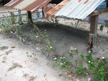 Pol Pot Cremation Site