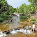 steung kuy 3