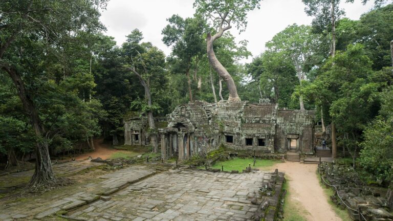 ta prohm temple picture visit cambodia